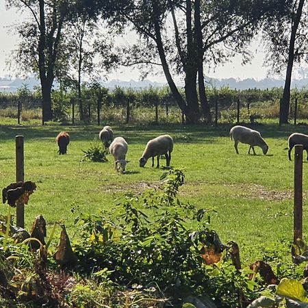 De Zeeuwsche Hoeve Kerkwerve Extérieur photo