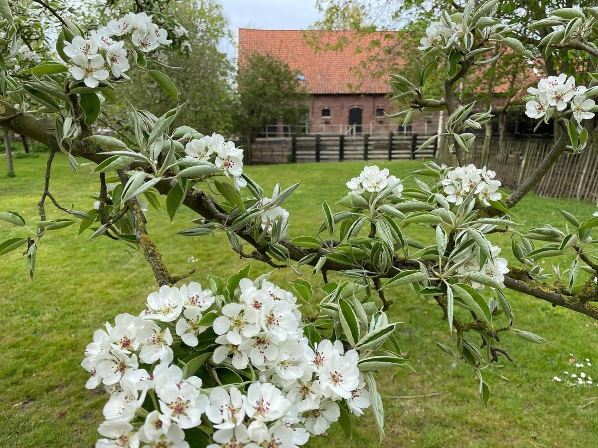 De Zeeuwsche Hoeve Kerkwerve Extérieur photo