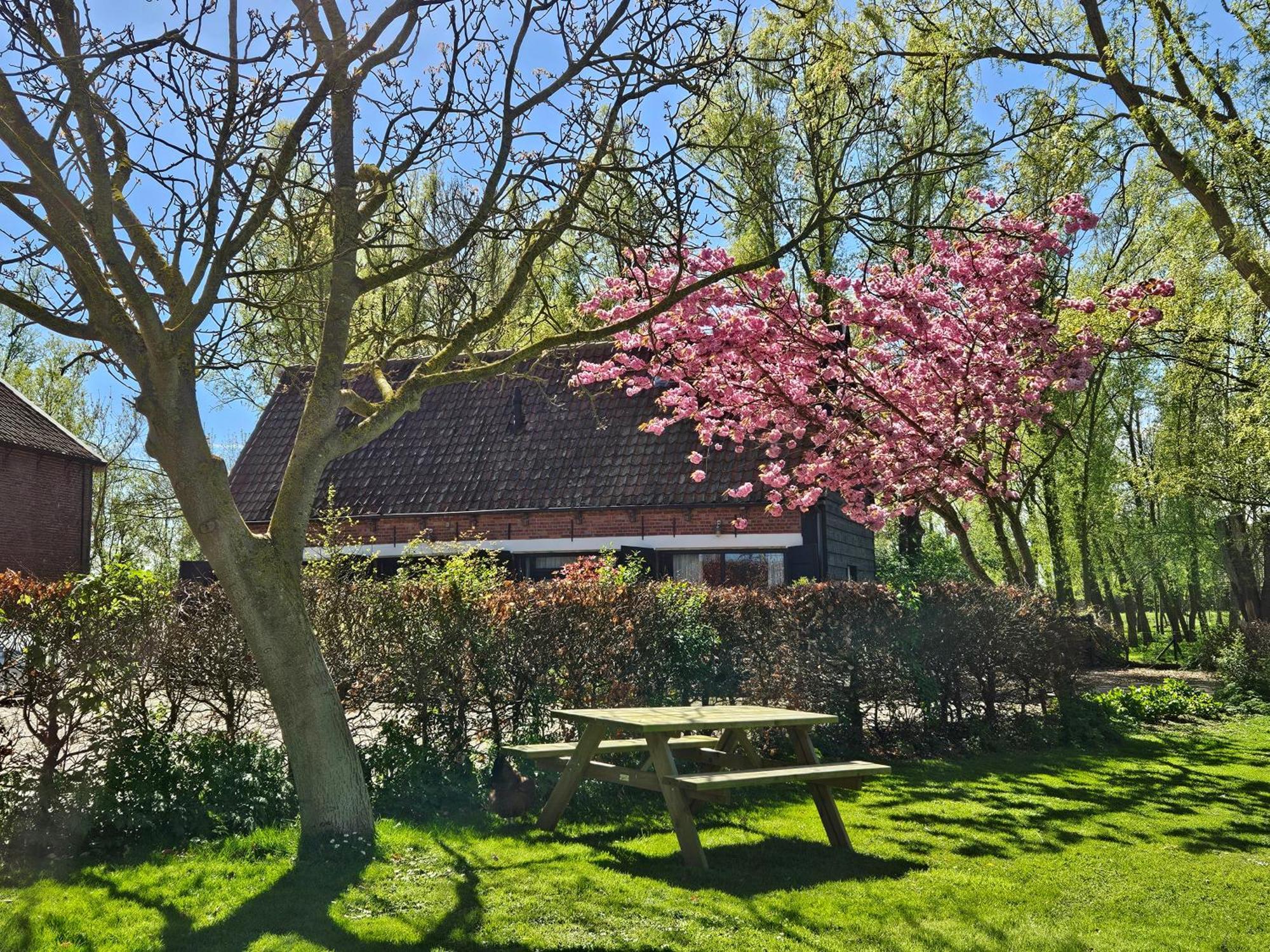 De Zeeuwsche Hoeve Kerkwerve Extérieur photo
