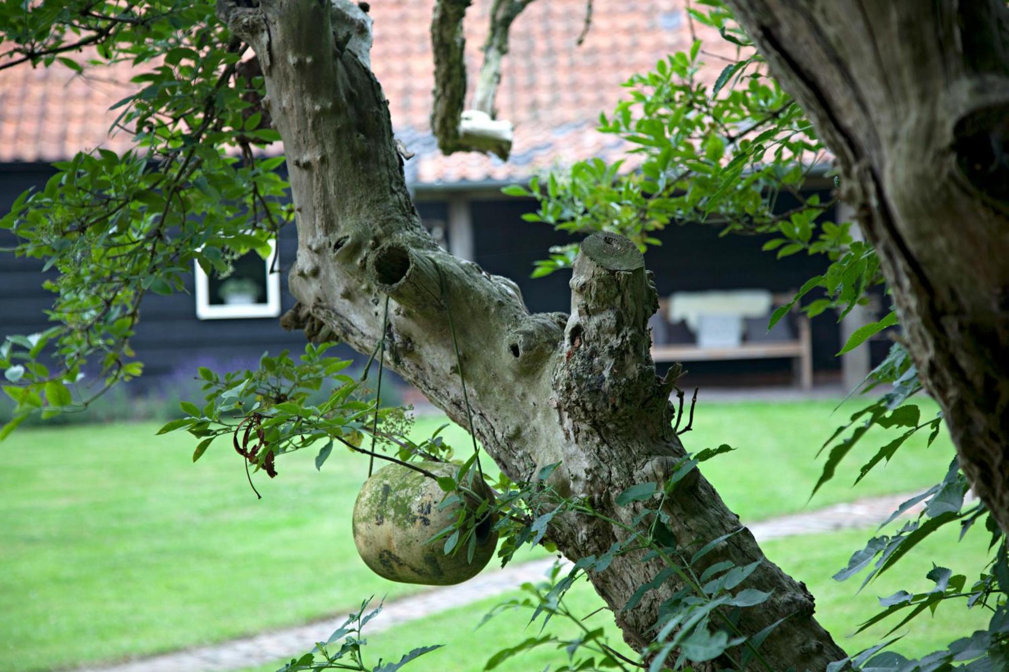 De Zeeuwsche Hoeve Kerkwerve Extérieur photo