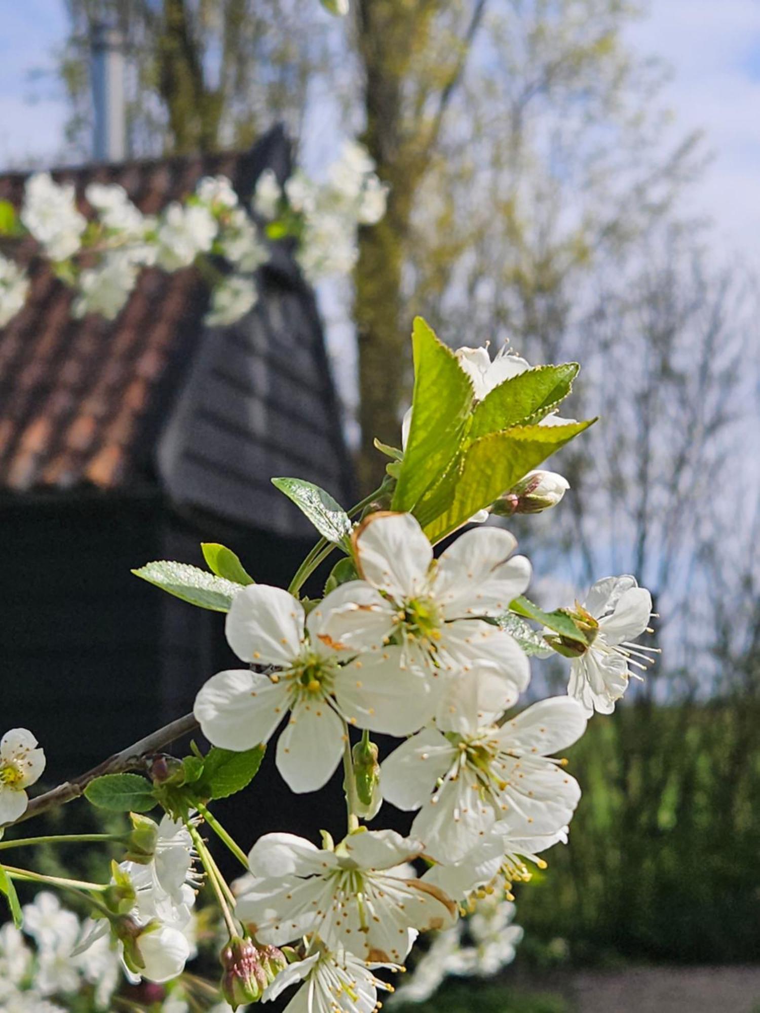 De Zeeuwsche Hoeve Kerkwerve Extérieur photo