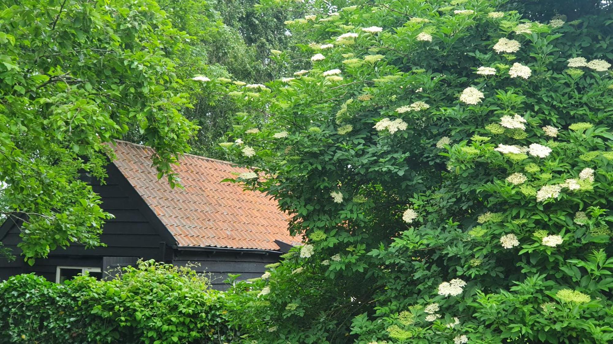 De Zeeuwsche Hoeve Kerkwerve Extérieur photo