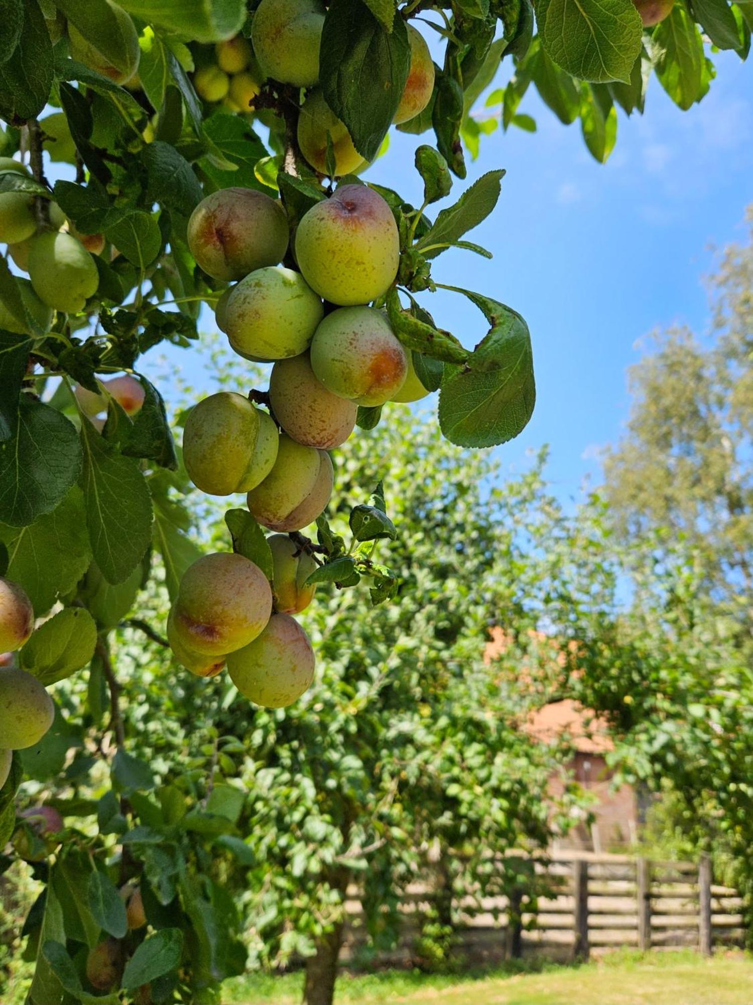 De Zeeuwsche Hoeve Kerkwerve Extérieur photo