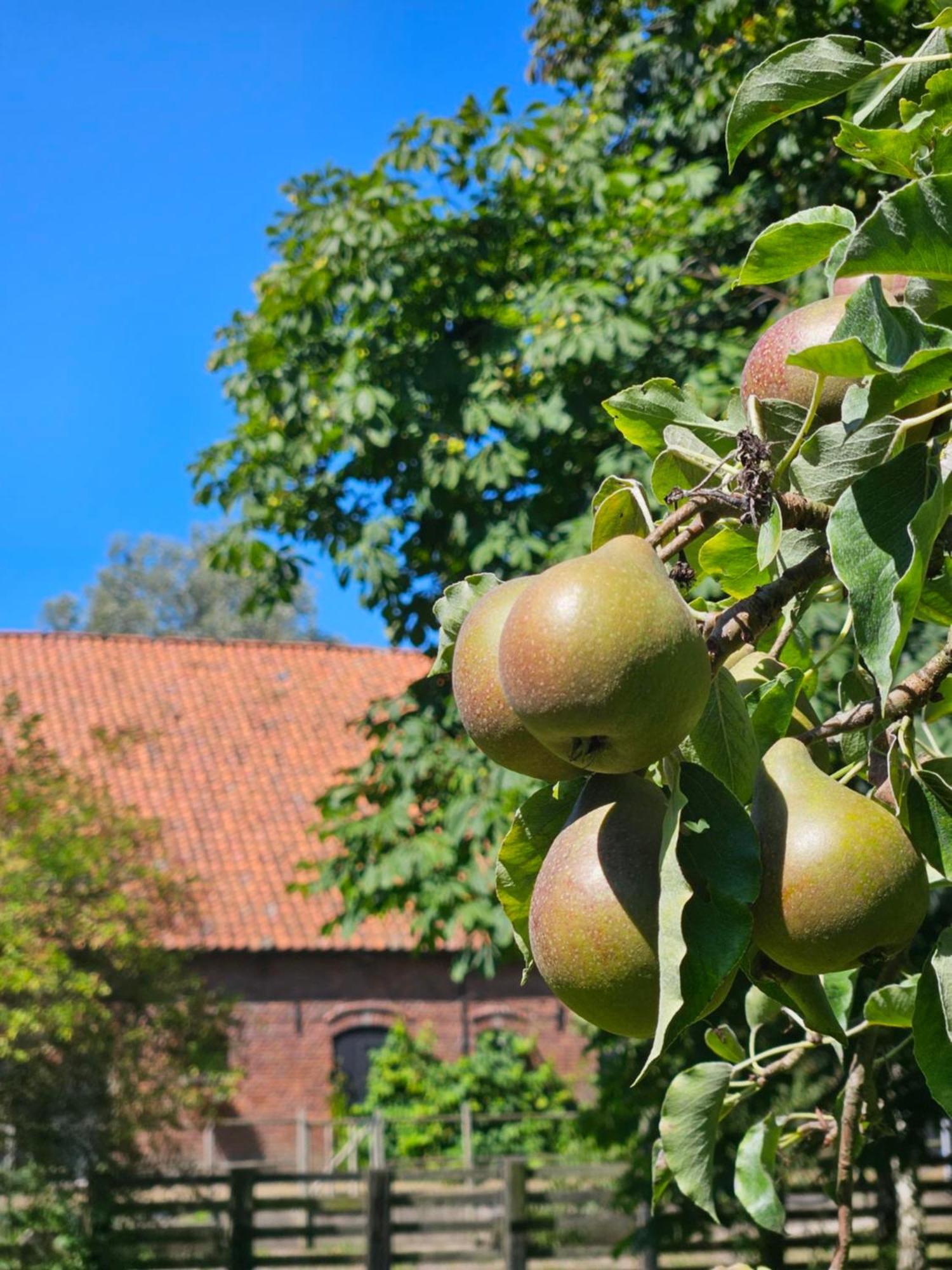 De Zeeuwsche Hoeve Kerkwerve Extérieur photo