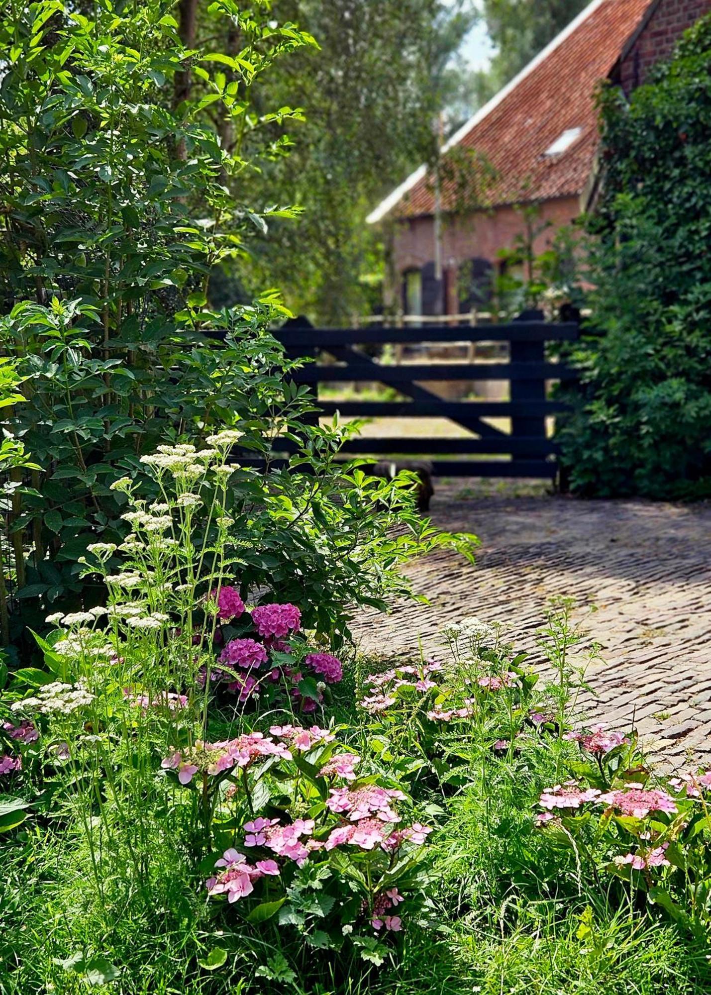 De Zeeuwsche Hoeve Kerkwerve Extérieur photo