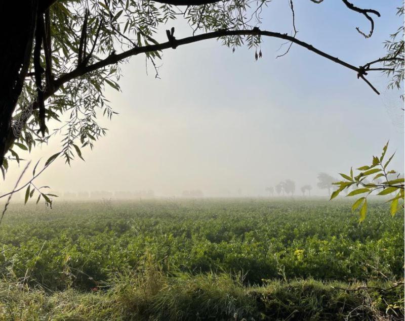 De Zeeuwsche Hoeve Kerkwerve Extérieur photo